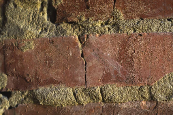 Texture of an old brick wall in a closet.