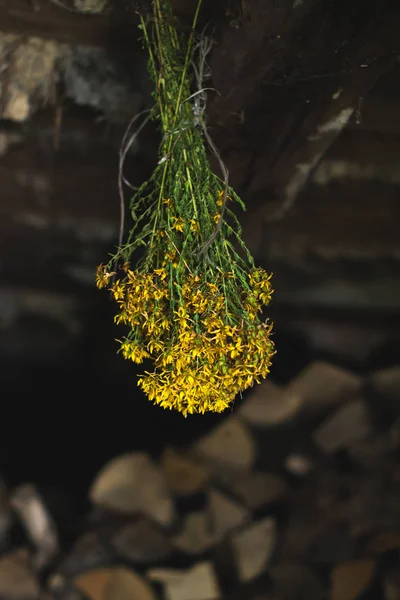 Un bouquet de fleurs séchées dans le vieux grenier . — Photo