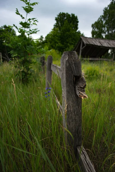 Old wooden fence in nature on a summer evening. — Stock Photo, Image