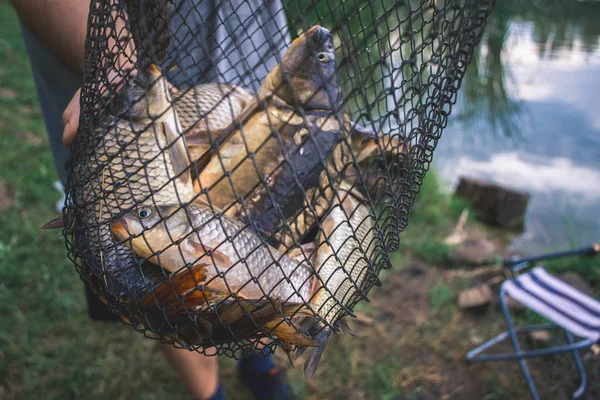 渔民在池塘上的渔网里钓到鱼. — 图库照片