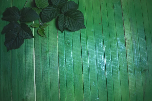 Folhas verdes em um fundo de textura de madeira . — Fotografia de Stock