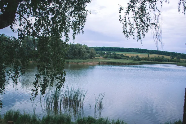 Літній день у природі біля ставка . — стокове фото