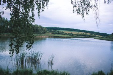 Bir yaz günü gölet yakınındaki doğada.
