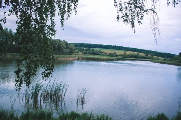Egy nyári napon a természetben, a tó közelében. — Stock Fotó