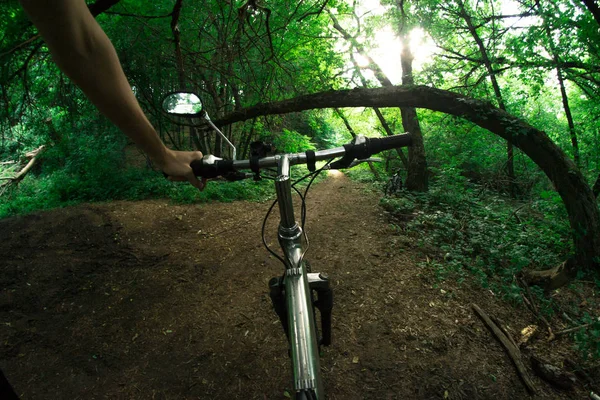 Велосипедист їде на велосипеді уздовж лісових стежок . — стокове фото