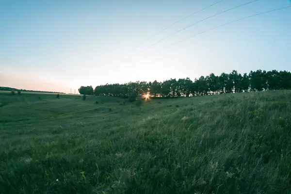 Літній луг на заході сонця вечірній пейзаж . — стокове фото