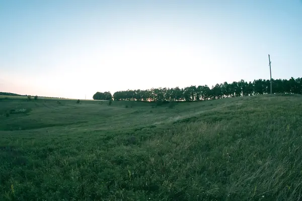 日没日の夜の風景で夏の草原. — ストック写真