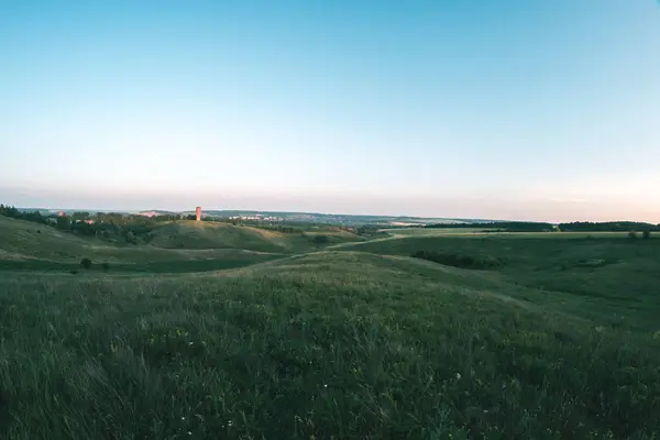 Letnia łąka na zachód dzień wieczorny krajobraz. — Zdjęcie stockowe