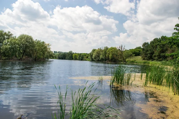 Yaz güneşli nehir manzara. Kavram seyahat, seyahat.