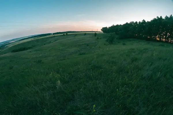 Letní louka při západu slunce den večer krajina. — Stock fotografie