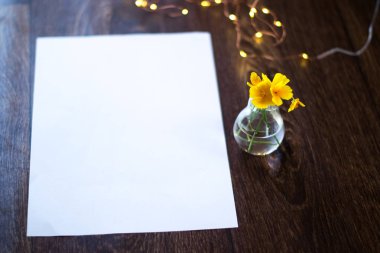 Bir cam ampul beyaz kağıdın yakınındaki çiçeklenir.