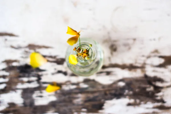 Суха квітка в скляній лампочці на дерев'яному фоні . — стокове фото