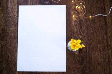 Bir cam ampul beyaz kağıdın yakınındaki çiçeklenir.