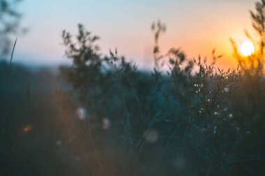 Sabah manzara. Köyün alanında arkasında gündoğumu.