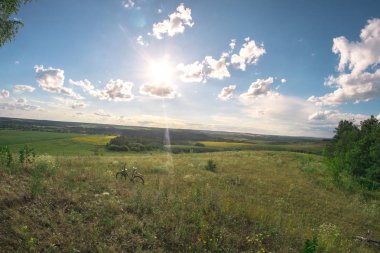 Yaz güneşli manzara bir balıkgözü için çayırda.