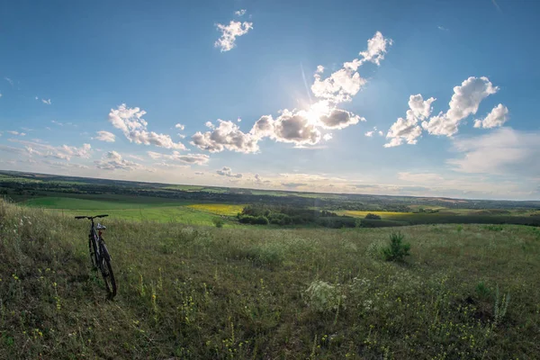 Літній сонячний пейзаж на лузі для риб . — стокове фото