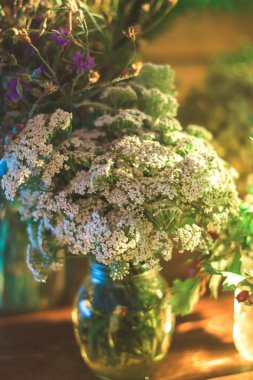 Alan yaz bitkiler üzerinde arka plan bulanık cam kavanozda.