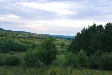 Doğada bulutlu bir günde yaz manzara.
