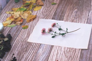 Ahşap arka plan üzerinde sonbahar yaprakları ile kuru çiçekler.