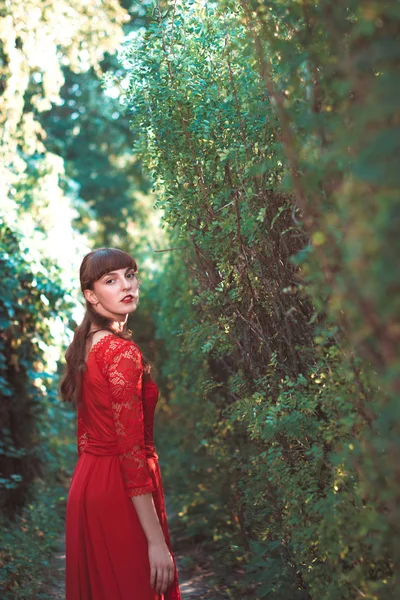 Belle jeune fille dans une longue robe rouge dans un parc d'automne . — Photo