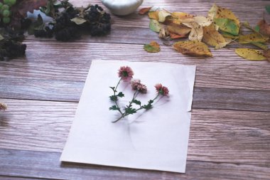 Ahşap arka plan üzerinde sonbahar yaprakları ile kuru çiçekler.