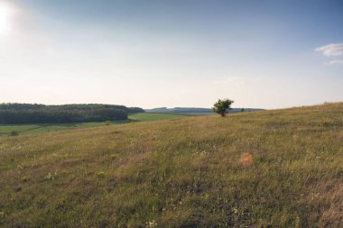 Yaz güneşli manzara şehir dışında gün batımında.