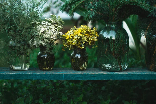 Πεδίο καλοκαιρινά φυτά σε ένα γυάλινο βάζο με θολή φόντο. — Φωτογραφία Αρχείου