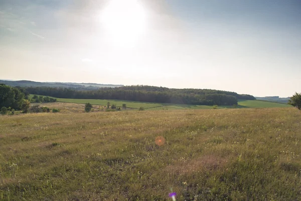 Yaz güneşli manzara şehir dışında gün batımında.