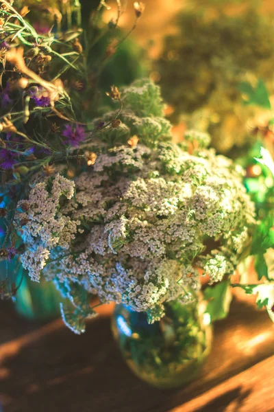 Alan yaz bitkiler üzerinde arka plan bulanık cam kavanozda.