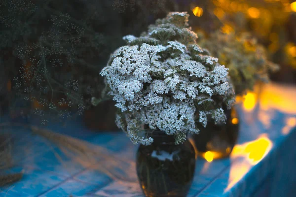 Польові літні рослини в скляній банці на розмитому фоні . — стокове фото
