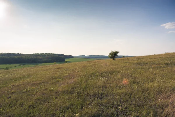 Yaz güneşli manzara şehir dışında gün batımında.