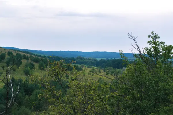 Літній пейзаж в похмурий день на природі . — стокове фото