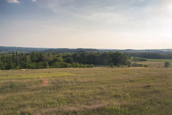 Yaz güneşli manzara şehir dışında gün batımında.