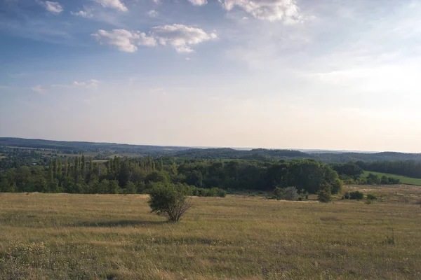 Yaz güneşli manzara şehir dışında gün batımında.