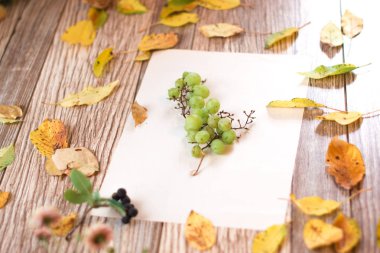 Üzüm üzüm ahşap arka plan üzerinde. Sonbahar natürmort.