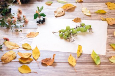 Üzüm üzüm ahşap arka plan üzerinde. Sonbahar natürmort.