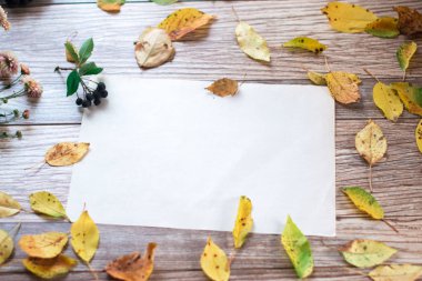 Ahşap arka plan üzerinde chokeberry meyveler.