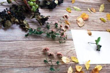 Ahşap arka plan üzerinde chokeberry meyveler.