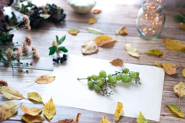 Üzüm üzüm ahşap arka plan üzerinde. Sonbahar natürmort.