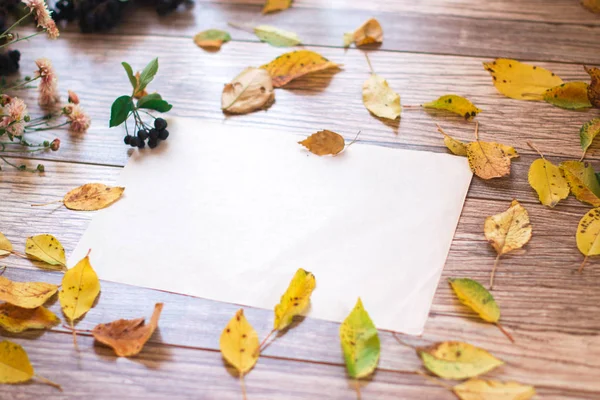 Ahşap arka plan üzerinde chokeberry meyveler.