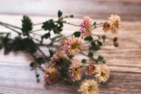 Gedroogde bloemen met Herfstbladeren op een houten achtergrond. — Stockfoto