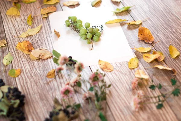 Üzüm üzüm ahşap arka plan üzerinde. Sonbahar natürmort.