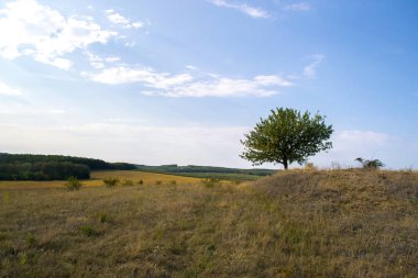 Şehir dışında güneşli bir sonbahar manzara.