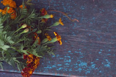 Eski bir ahşap zemin üzerine sonbahar çiçekler.