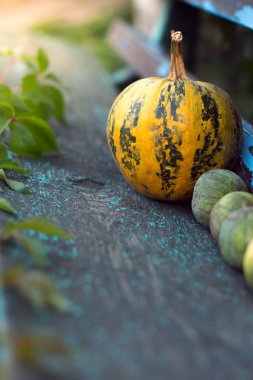 Arka plan bulanık ile ahşap kurullarında kabak.