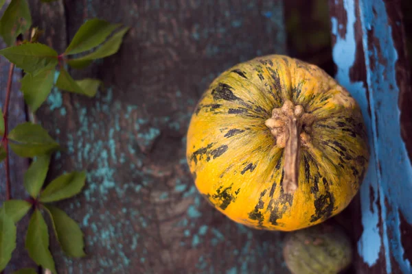 Arka plan bulanık ile ahşap kurullarında kabak.