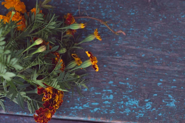 Eski bir ahşap zemin üzerine sonbahar çiçekler.