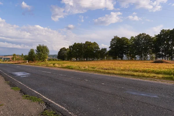 Gün batımında şehir dışında akşam peyzaj.