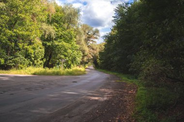 Sonbahar manzara. Güneşli bir günde orman yolu.