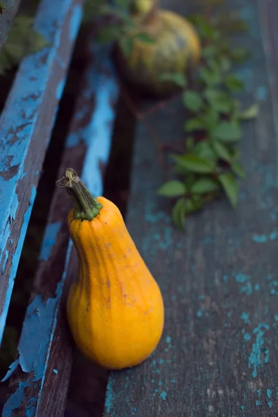 Citrouille sur des planches en bois avec un fond flou . — Photo